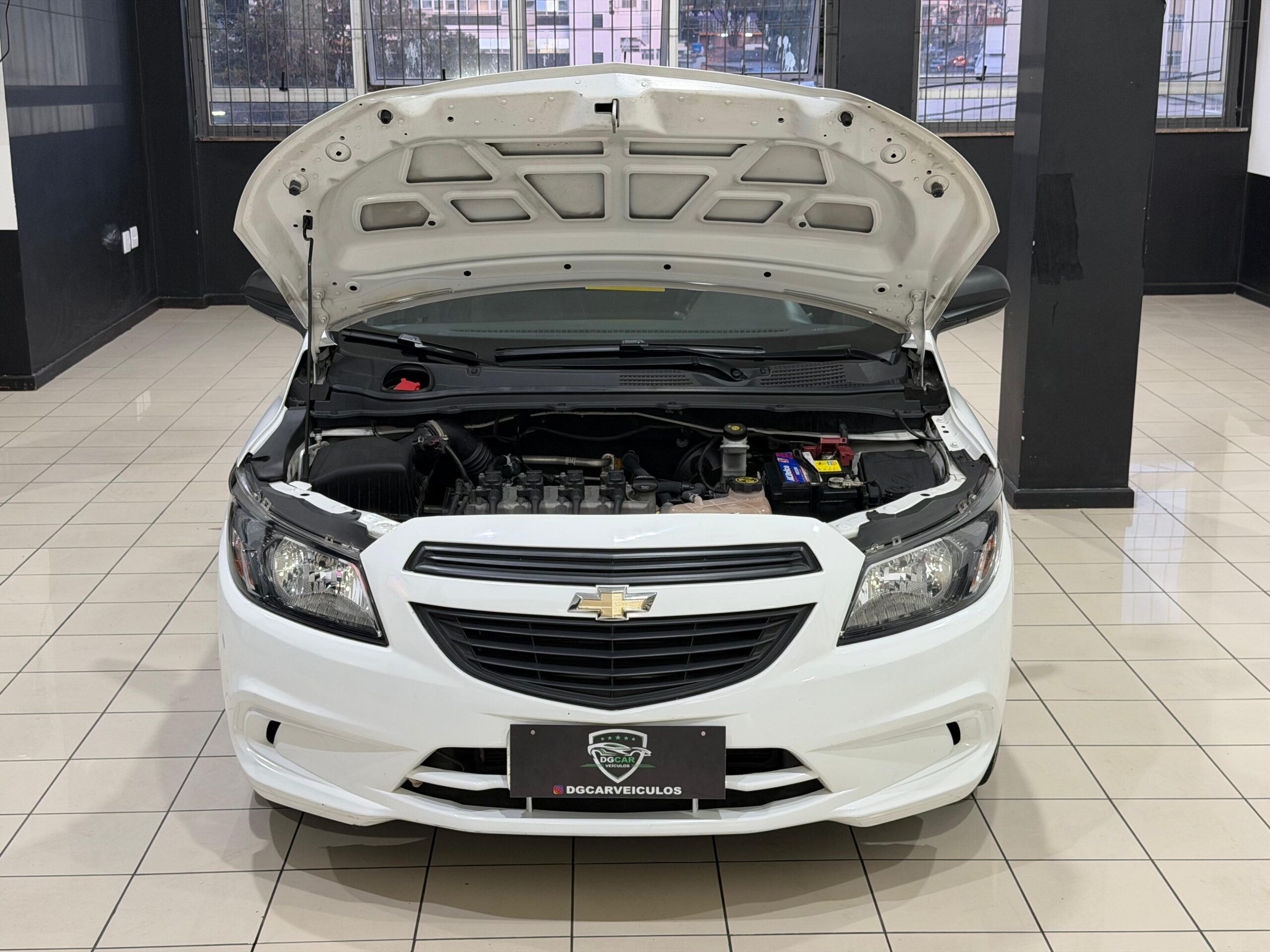 WhatsApp Image 2026-01-11 at