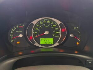 WhatsApp Image 2026-02-12 at 16.56.13