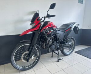 WhatsApp Image 2026-03-17 at 11.10.30